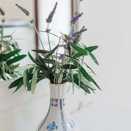 公寓 Afroditi Pansion Áyios Nikítas