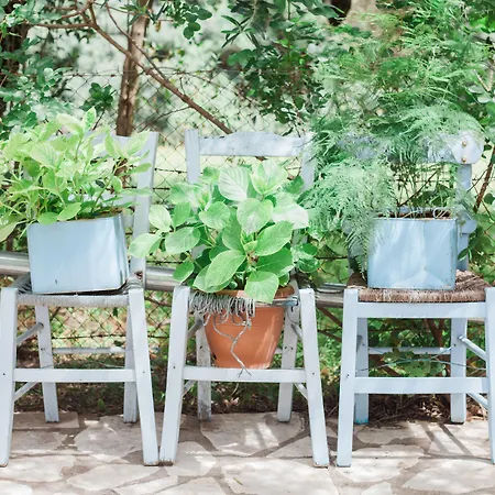 公寓 Afroditi Pansion