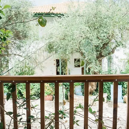 公寓 Afroditi Pansion *