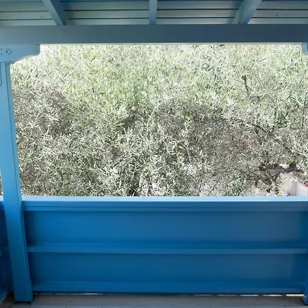 Διαμέρισμα Afroditi Pansion *