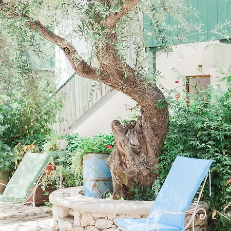 Afroditi Pansion Άγιος Νικήτας