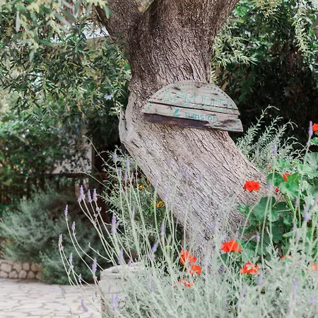 Afroditi Pansion Apartment Agios Nikitas