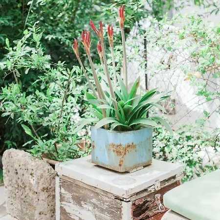 Afroditi Pansion Διαμέρισμα