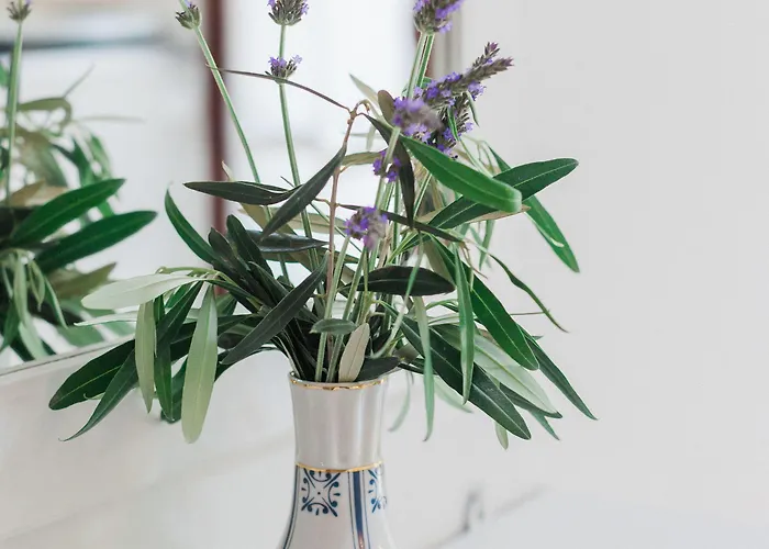 Apartamento Afroditi Pansion Áyios Nikítas