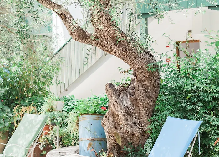 Afroditi Pansion Áyios Nikítas