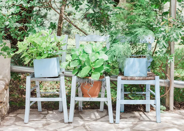 公寓 Afroditi Pansion