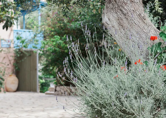 Afroditi Pansion 公寓